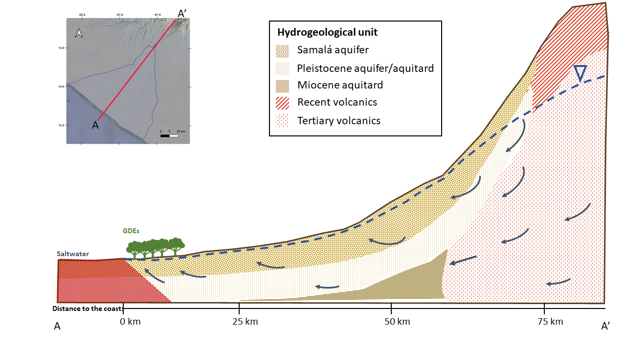 Conceptual hydrogeological cross-section from the volcanic highlands (75 km inland) to the coast: groundwater recharges in the Tertiary and recent volcanics, flows through the Samalá and Pleistocene aquifers, and discharges at the mangroves next to the saltwater wedge